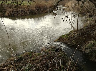 The mouth of the Saubrunnenbach (right) into the Jagst