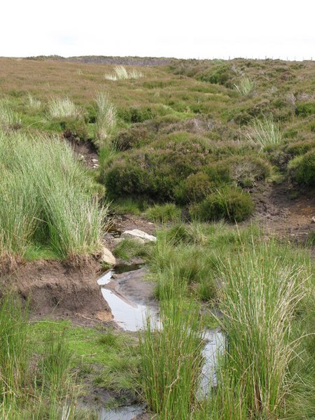 File:Sike on Birkside Fell - geograph.org.uk - 511819.jpg