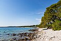 South-west coast of Silba island, Croatia (48670021208).jpg