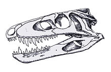 Sphenosuchus.jpeg