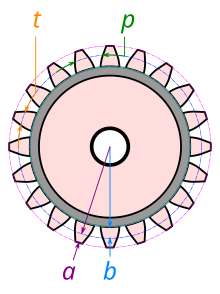 Spur gear tooth dimensions and how they are measured:
t = tooth thickness, along the pitch circle
p = circular pitch, along the pitch circle
a = addendum, radially
b = dedendum, radially
In this example, the gear has 20 teeth. Spur gear tooth dims.svg