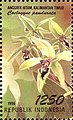 Flora and Fauna - Coelogyne pandurata