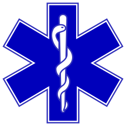 生命之星（Star of Life)