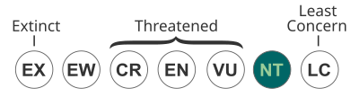 Vorschaubild für Datei:Status iucn3.1 NT.svg