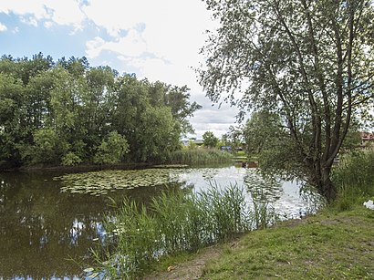 Jak dojechać komunikacją do Staw Czyste - O miejscu docelowym