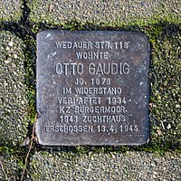 people_wikipedia_image_from Otto Gaudig