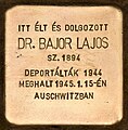 wikimedia_commons=File:Stolperstein für Dr. Bajor Lajos - Stolperstein für Dr. Lajos Bajor (Budapest).jpg