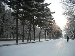 Street in Kabul during winter.jpg