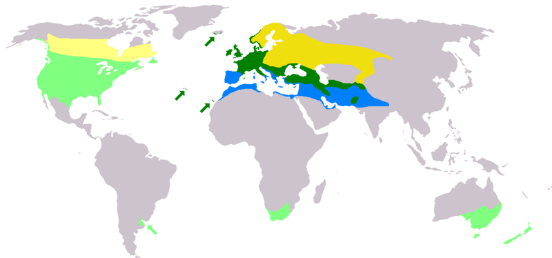 File:Sturnus vulgaris map without borders.png