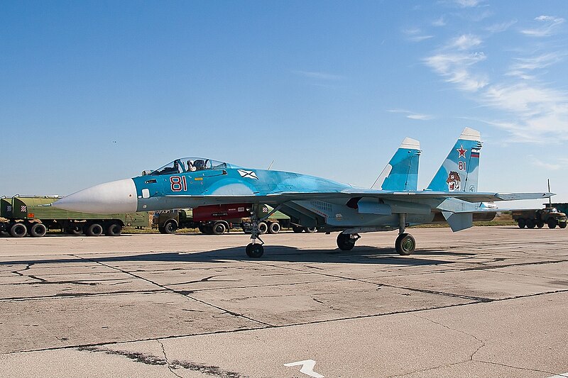 File:Sukhoi Su-33 in 2010 (4).jpg