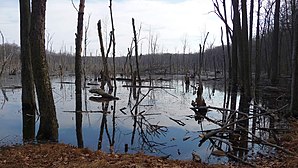 I Farny State Park