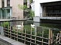 2010年5月28日 (金) 06:53時点における版のサムネイル