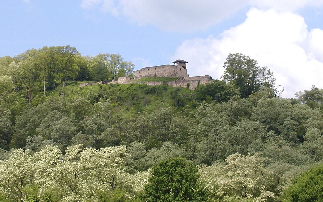 Teufelsburg (Saarland)