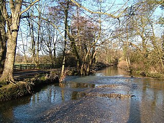 <span class="mw-page-title-main">River Mole LNR</span>