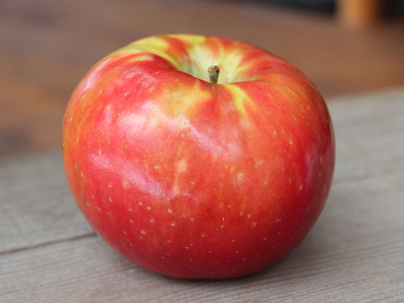 File:The SugarBee Apple now grown in Washington State.jpg