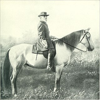 <span class="mw-page-title-main">Traveller (horse)</span> Horse in the American Civil War