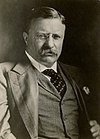 Theodore Roosevelt 1901-08.jpg