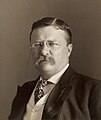 26. Theodore Roosevelt (1901–1909)