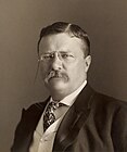 Theodore Roosevelt Theodore Roosevelt by the Pach Bros.jpg