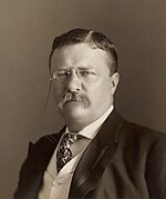 President Theodore Roosevelt Theodore Roosevelt by the Pach Bros.jpg