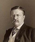 Theodore Roosevelt by the Pach Bros