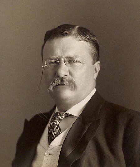 ไฟล์:Theodore Roosevelt by the Pach Bros.jpg