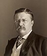Theodore Roosevelt by the Pach Bros.jpg