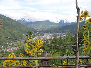 Thimphu: Politisches Zentrum, Entscheidungszentrum, Entwicklungsprobleme