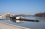 Thumbnail for File:Tisza river in Szeged, 2021-03-02.jpg