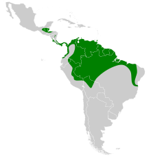 Tonatia saurophila map.svg