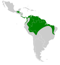 Tonatia saurophila map.svg