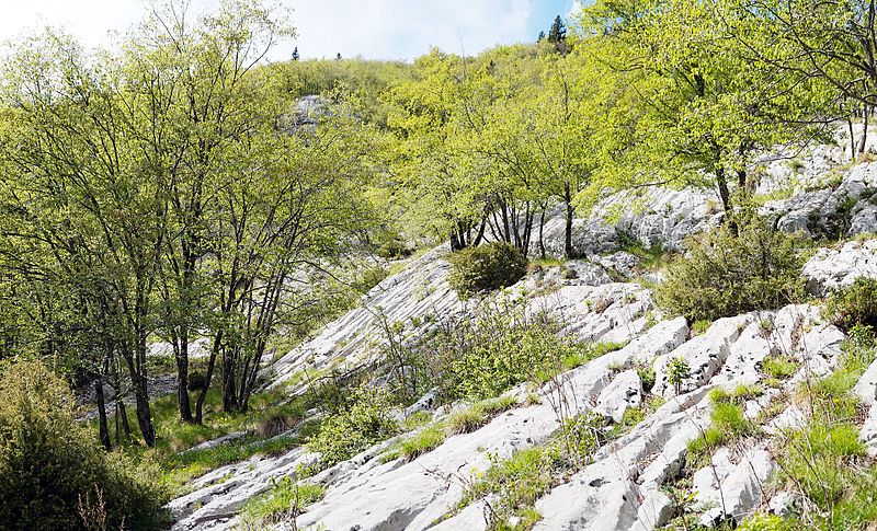 File:Trail on mountainside.jpg