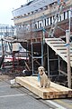 Pendant les travaux, un chef de chantier un peu spécial veille au bon déroulement de ceux-ci.