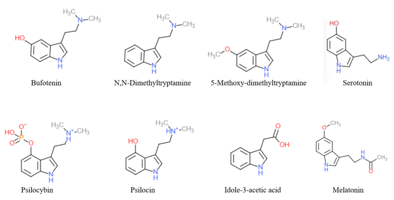 File:Tryptamine Alkaloids 2.png