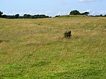 Bulat barrow di Beacon Hill