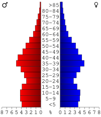 Age pyramid of county residents based on 2000 Census data