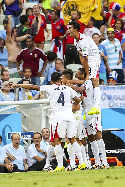 File:Uruguay - Costa Rica FIFA World Cup 2014 (9).jpg