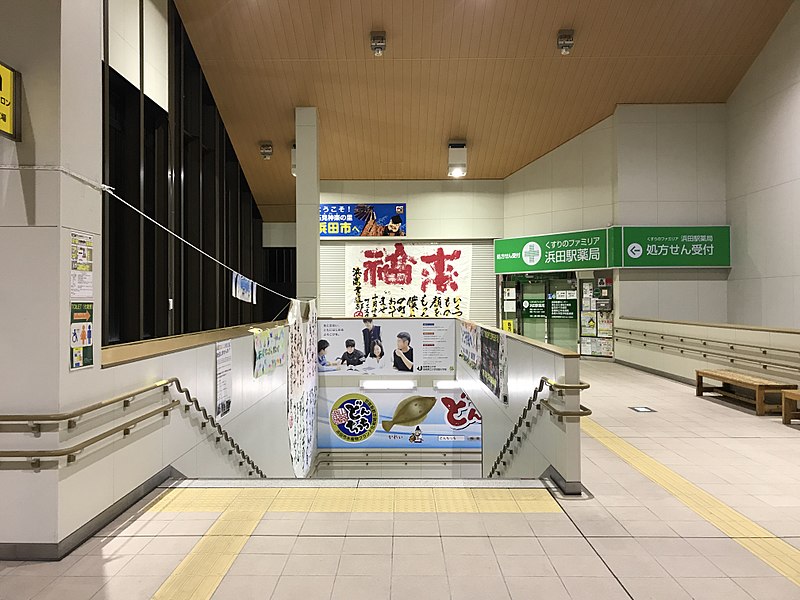 File:View in Hamada Station.jpg