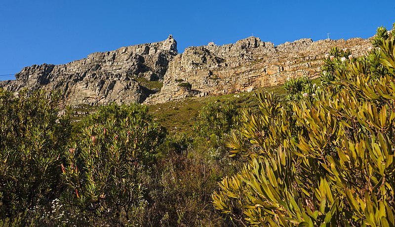 File:View up slopes of Table Mountain to summit.jpg