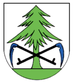 Binzgen