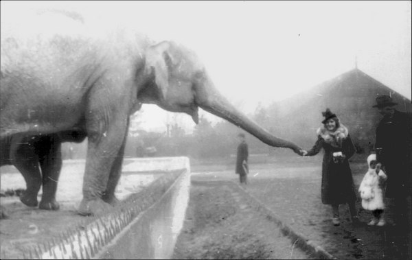 The Warsaw Zoo pictured in 1938, a year before the outbreak of World War II.