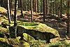 Warzenstein bei Harmanschlag 02 2014-07 NÖ-Naturdenkmal GD-002.jpg