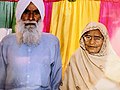 Wedding_in_Punjab_(370)
