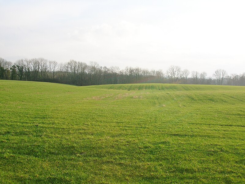 File:Whitehill Burn site and Craigenconnor Woods.JPG