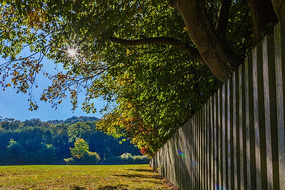 Wiese hinter dem Jagdschloss Springe