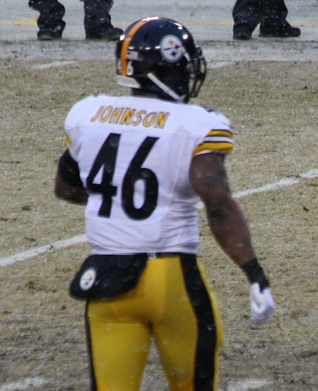 Will Johnson American Football 46 entering field 2013.jpg