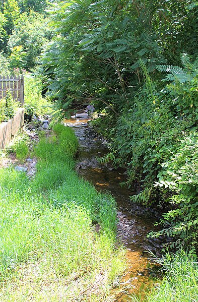 File:Winfield Creek looking downstream.JPG