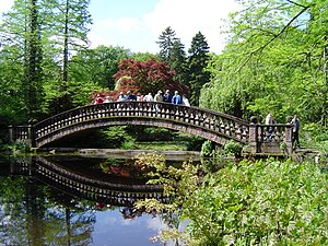 Puente en el parque del palacio