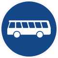 245 Linienomnibusse