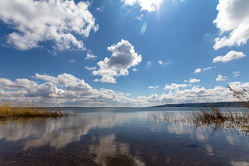 Куль река